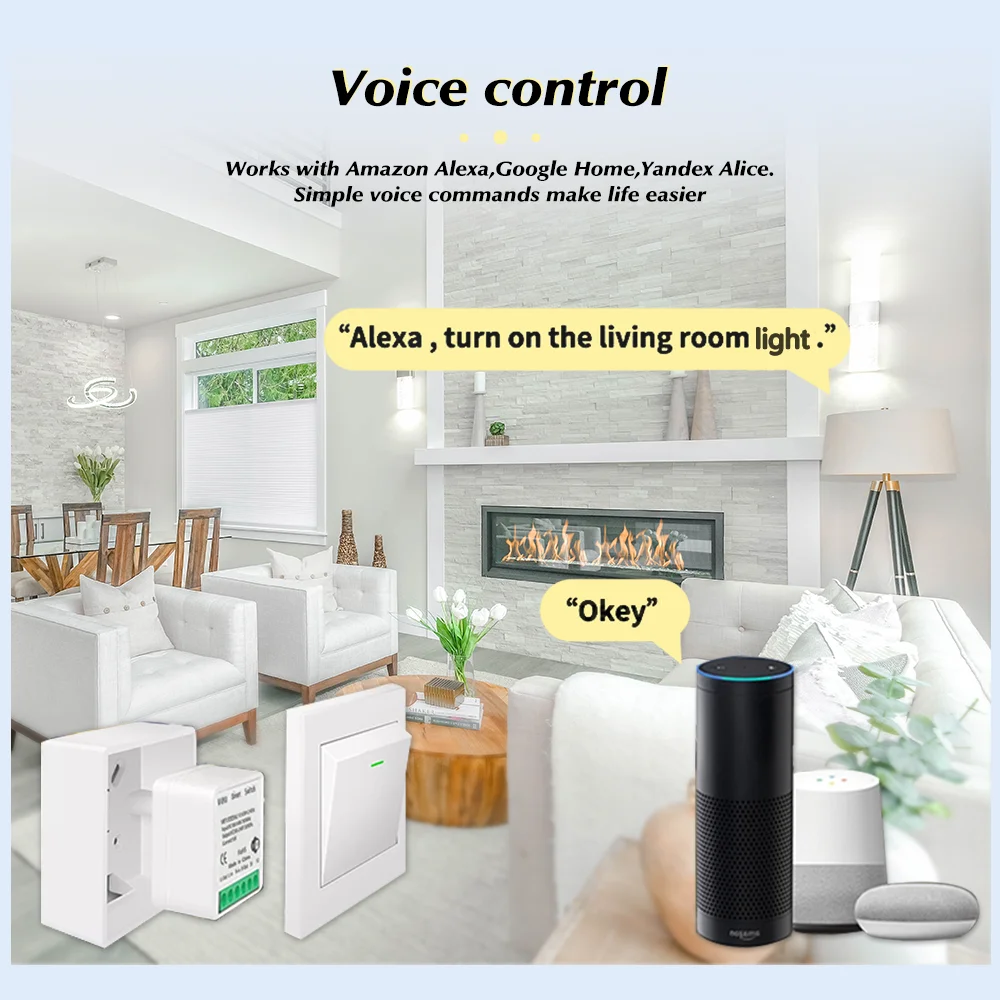 For Tuya Mini Smart WiFi Switc - đánh giá và giá Smart Relay Tuya